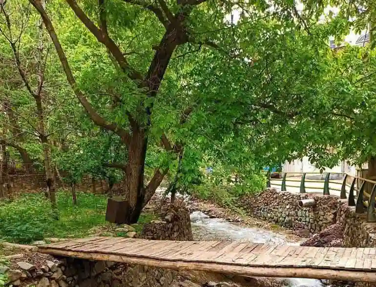 کوچه باغ‌های ایگل