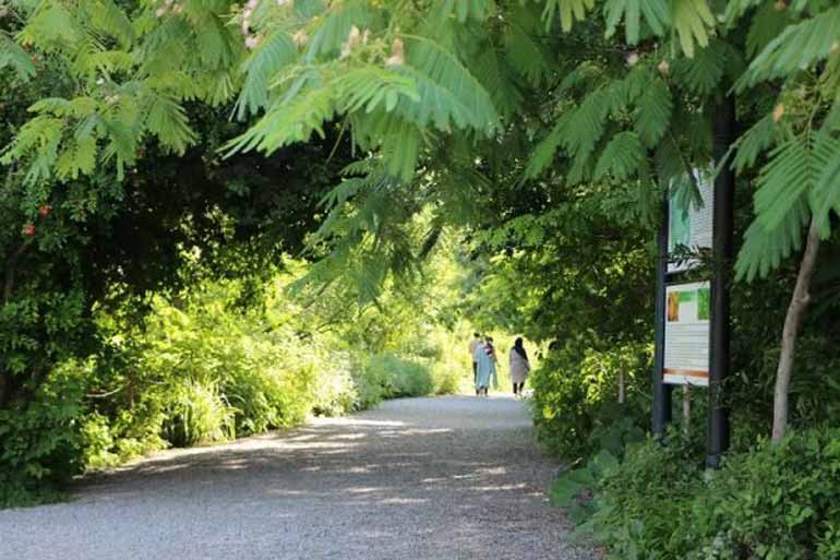 زیستگاه هیرکانی باغ گیاه‌شناسی تهران