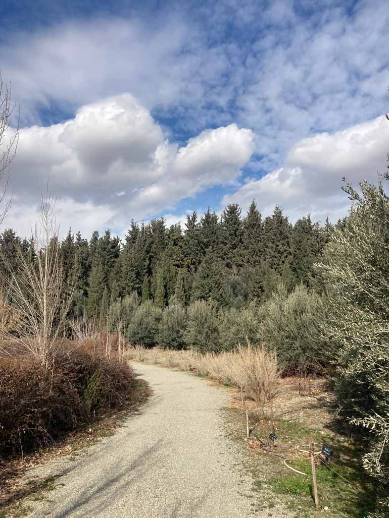 رویشگاه البرز جنوبی باغ گیاه شناسی تهران