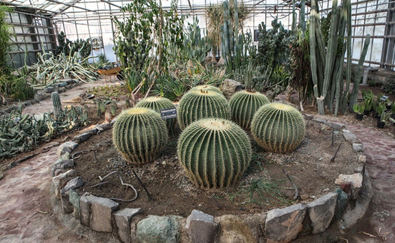 گلخانه جنوب ایران در باغ گیاه شناسی تهران