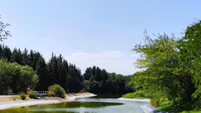 رویشگاه هیمالیا باغ گیاه شناسی ملی