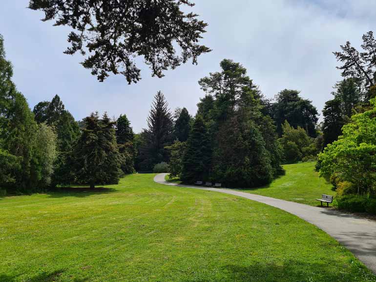 چمن‌زارهای آمریکا در باغ گیاه شناسی تهران