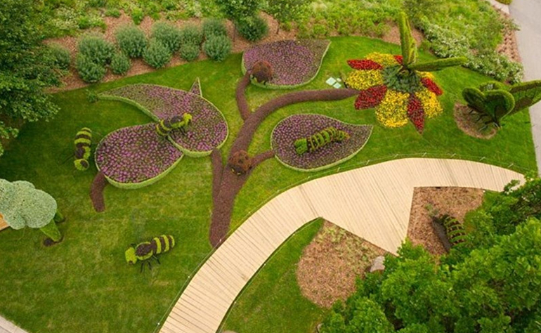 رویشگاه چین و ژاپن