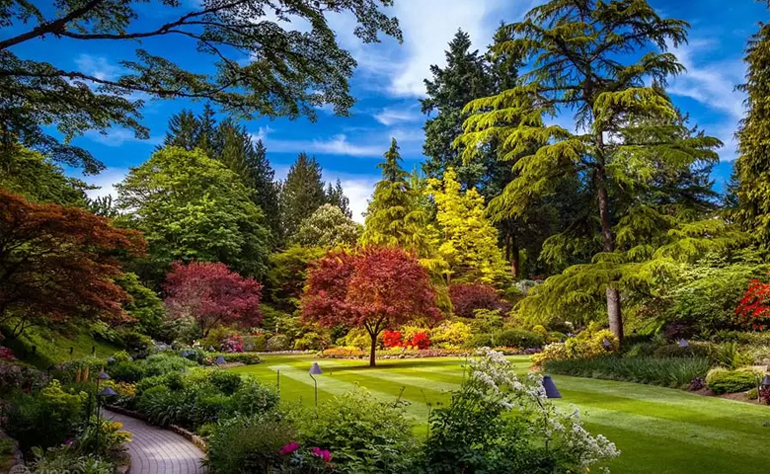 بخش شاکای در باغ گیاه شناسی تهران