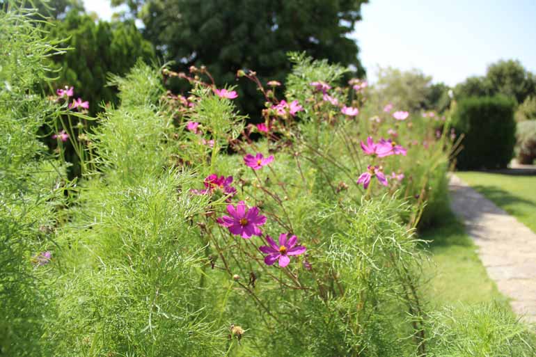 باغ گیاه شناسی تهران