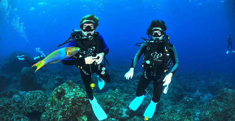 غواصی در دریای جنوب