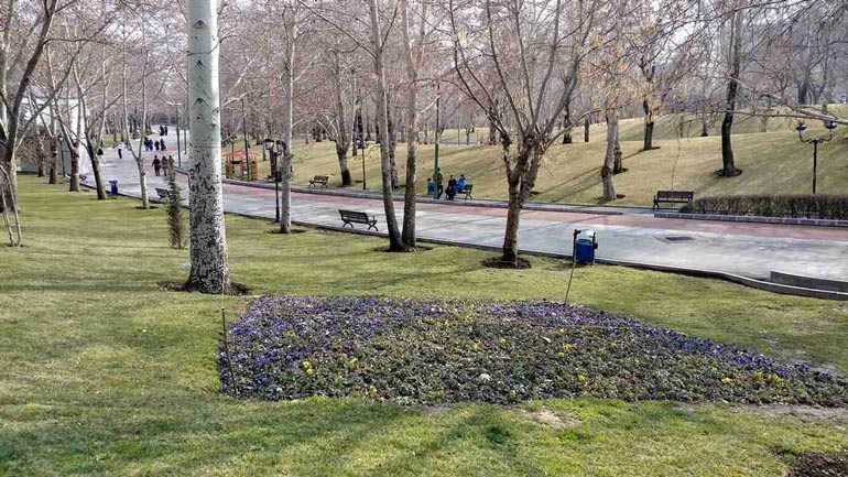 اسکیت و اسکوتر