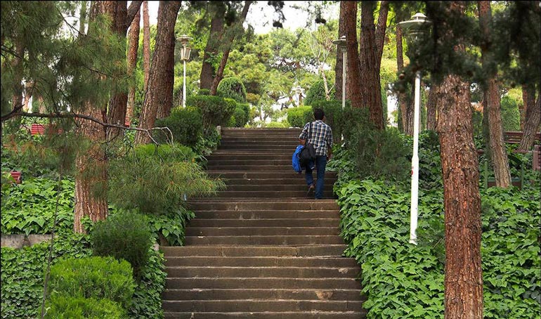 عکاسی در پارک