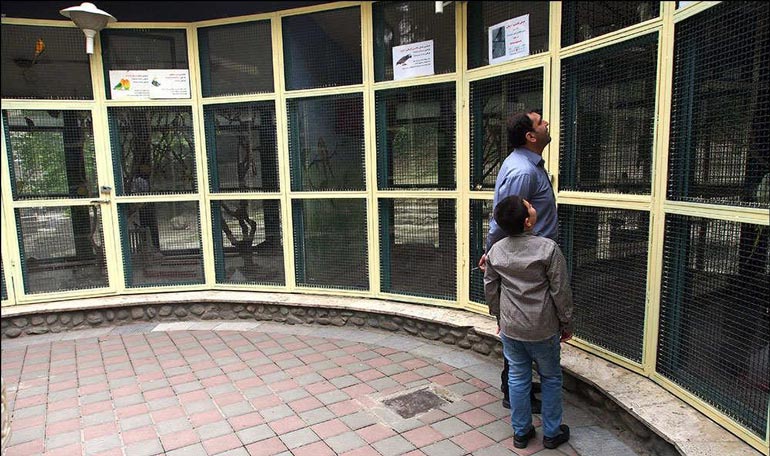 باغ وحش کودک