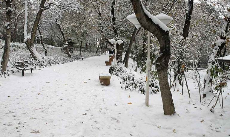 پارک قیطریه