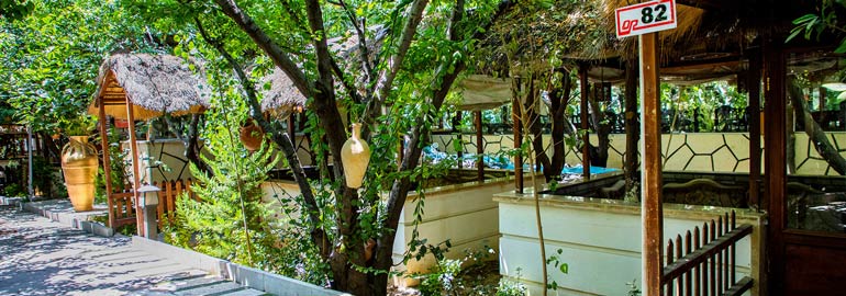 رستوران ارکیده