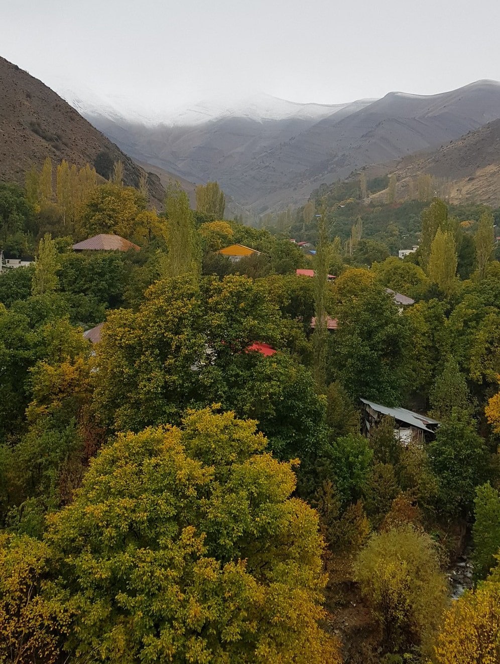 روستای ایگل فشم