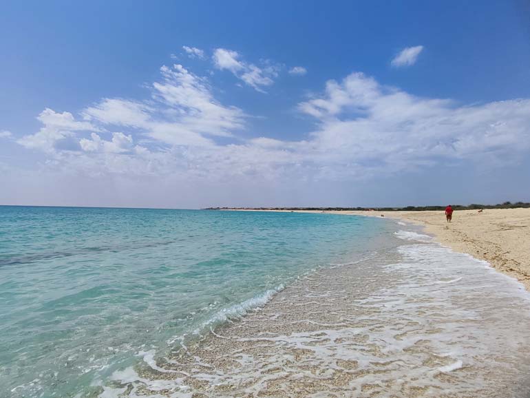 جزیره لاوان