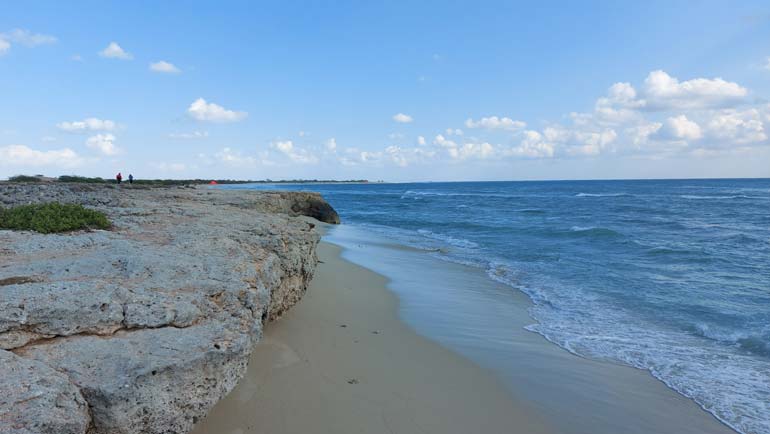 جزیره لاوان