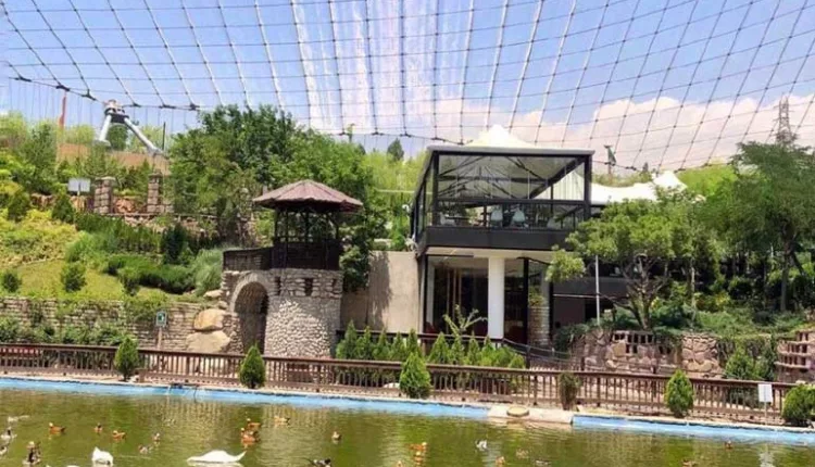 Google Maps نگاهی به فضای باغ پرندگان 3