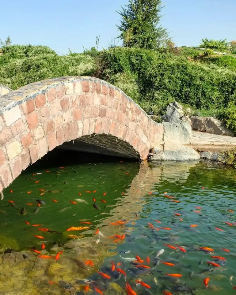 باغ مشهد چیست؟