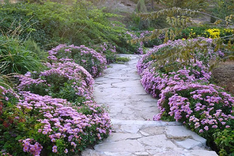 باغ گیاه شناسی مشهد