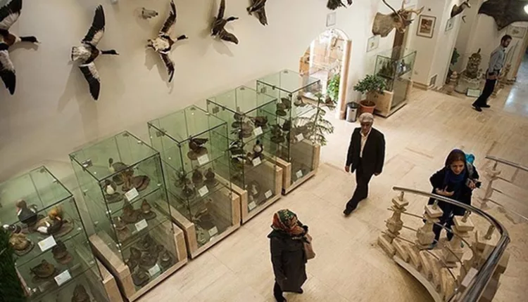 موزه طبیعت و حیات وحش دارآباد