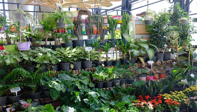 گلکده داریستان باغ کتاب