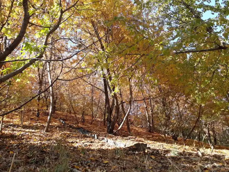 روستای کنگ مشهد