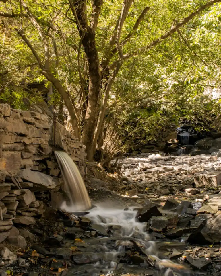 باغ‌های میوه