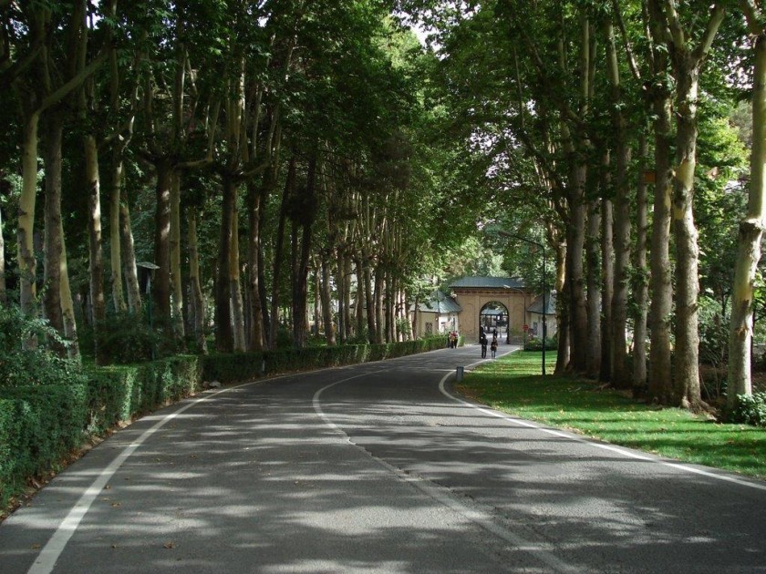 باغ موزه های تهران
