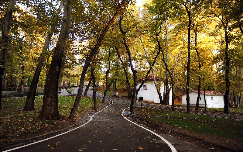 مجموعه کاخ سعد آباد تهران و جزئیات خیره‌کننده ‌آن 