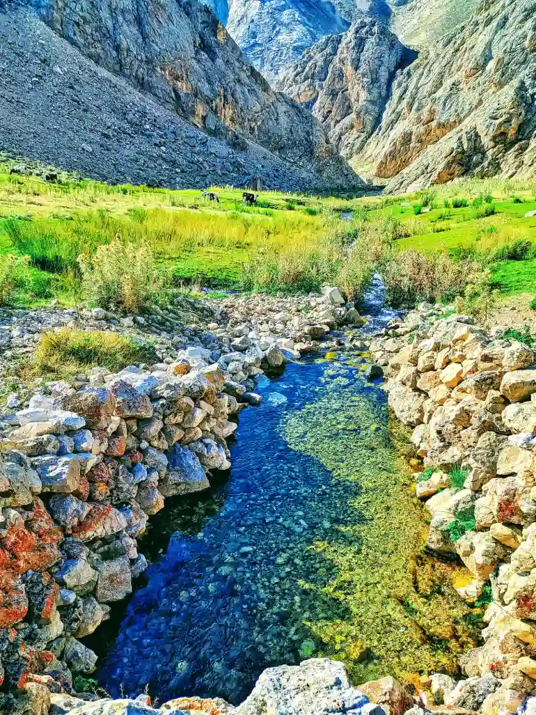 روستای لزور