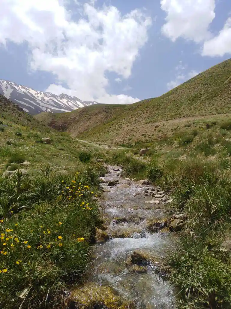 روستای نجفدر