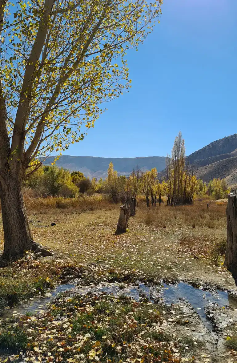 فاصله تهران تا روستای هرانده
