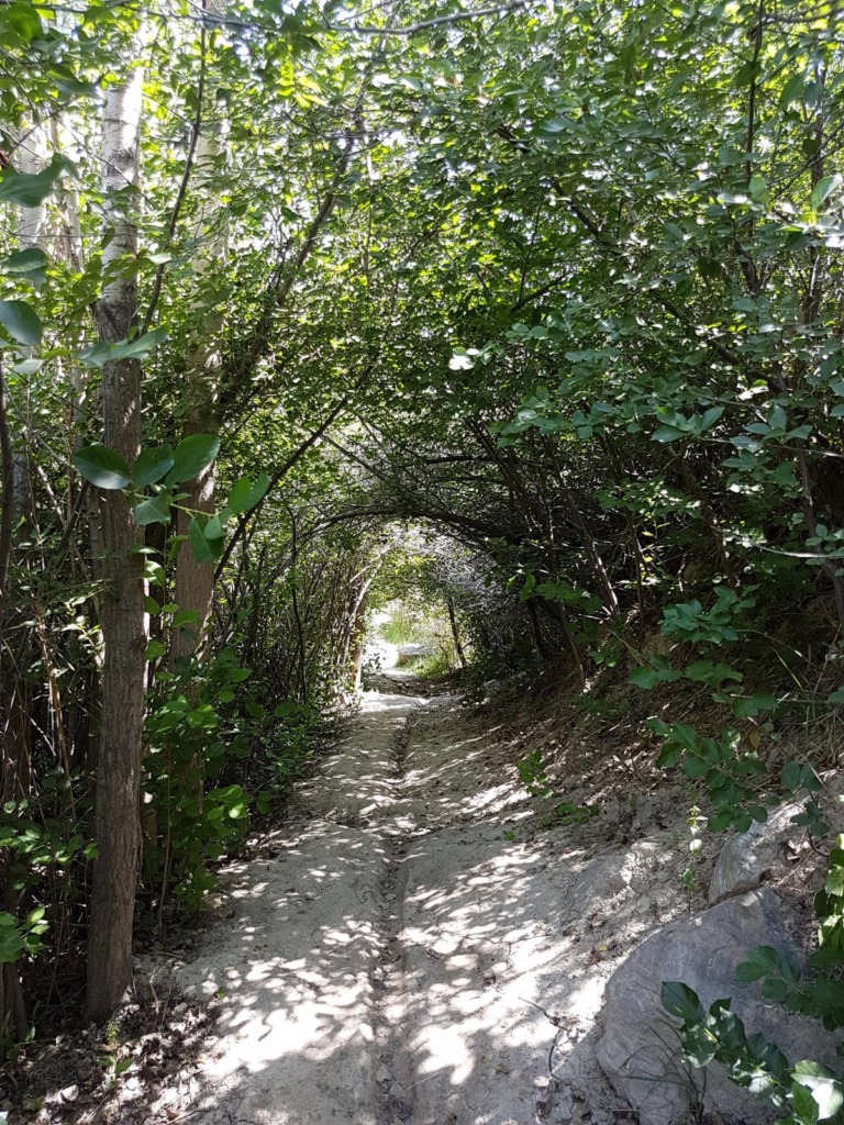 روستای هرانده