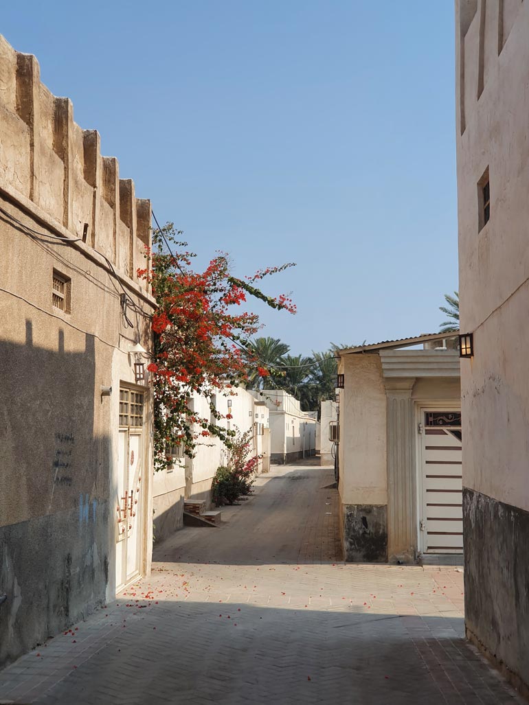 سفر به بندر کنگ