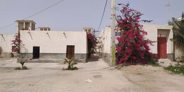 سفر به بندر کنگ