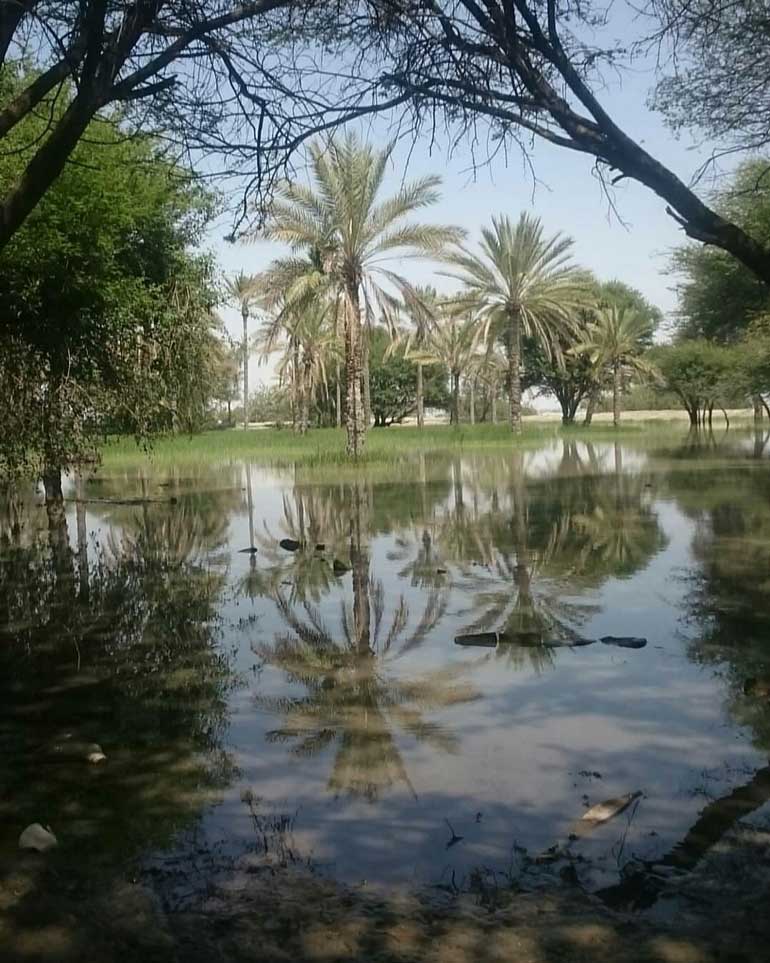 سفر به بندر کنگ