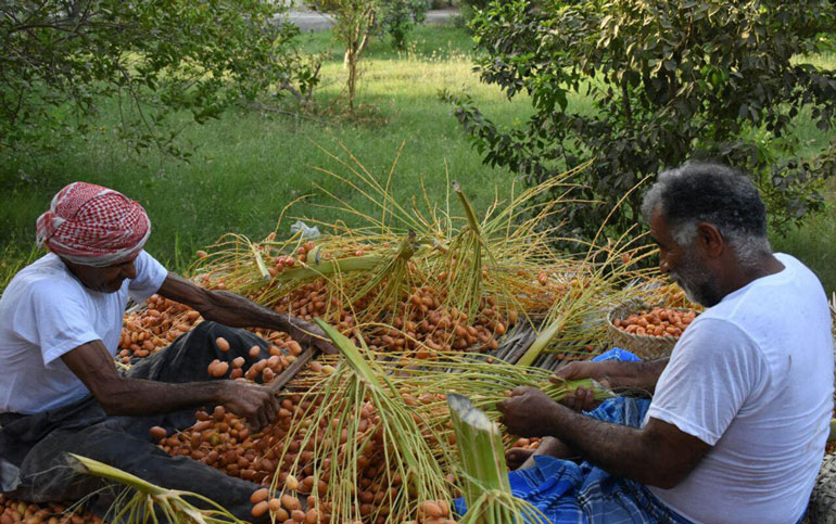 سفر به بندر کنگ