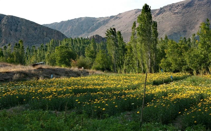 روستای هرانده کجاست؟