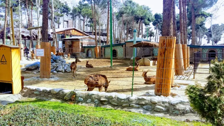 باغ وحش پارک ارم