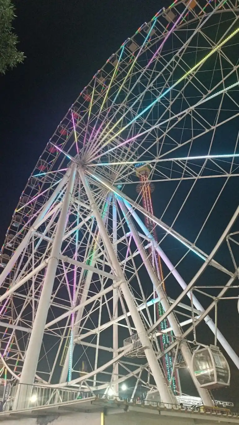 چرخ و فلک پارک ارم