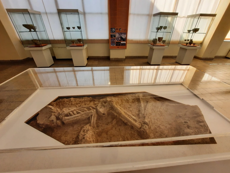 موزه ملی ایران