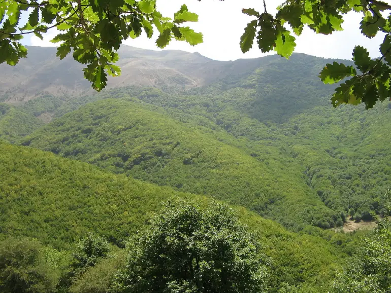 روستای آهار