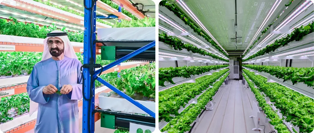 نمایشگاه کشاورزی عمودی 2025