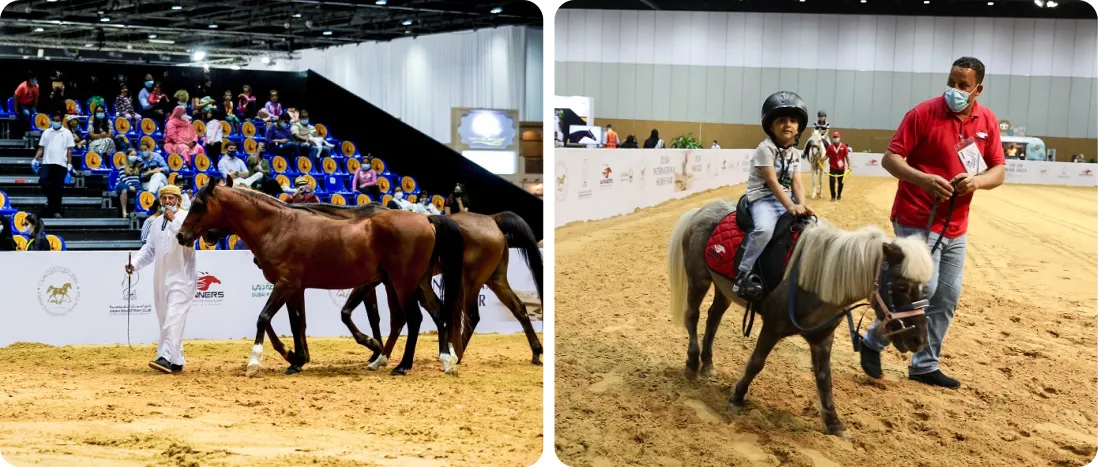  نمایشگاه اسب 2026