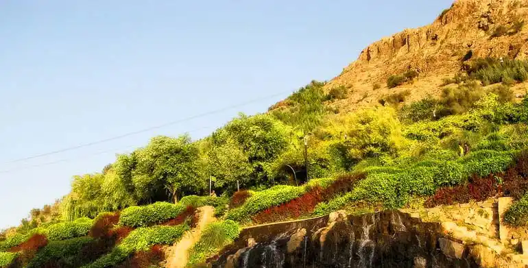 پارک کوهستانی بوستان شیراز 