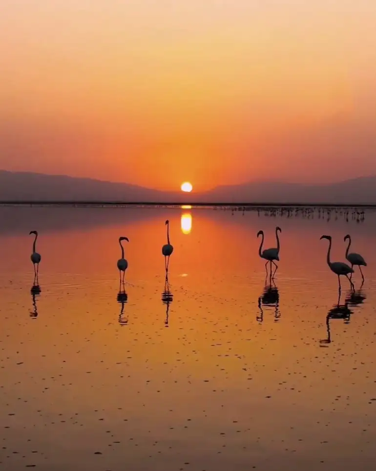 مسیر رفتن به دریاچه مهارلو