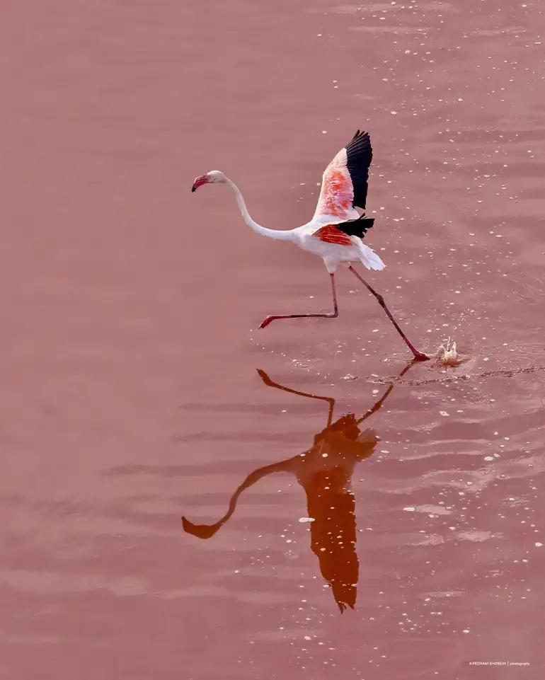 دریاچه مهارلو کجاست