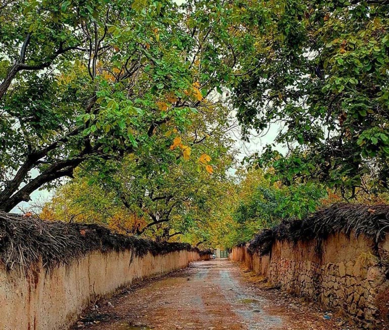 سفر به شیراز در تابستان