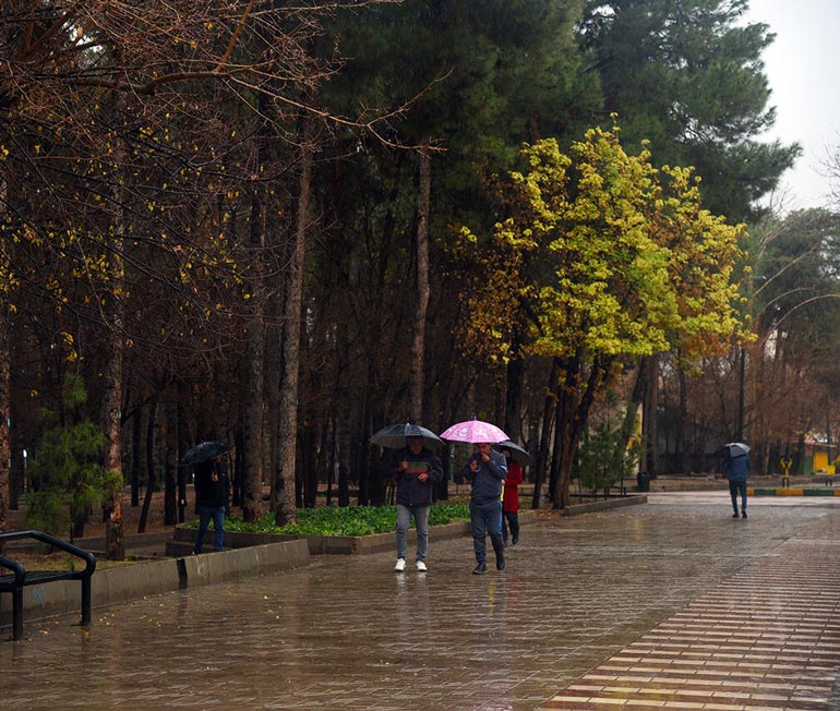 سفر به شیراز دردپاییز