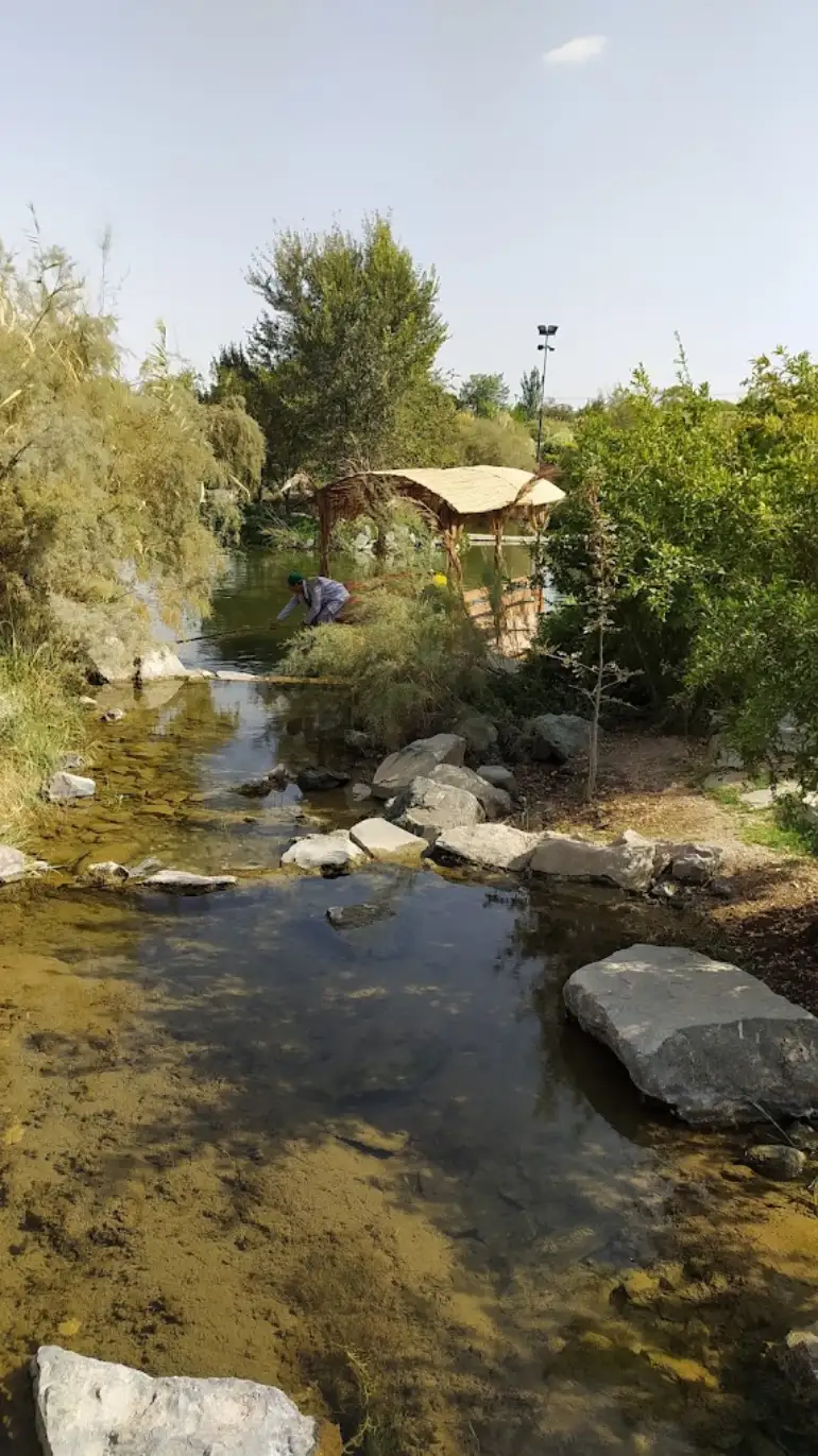 آبشار و رودخانه