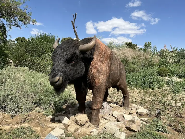 ماکت دایناسورها و سایر حیوانات