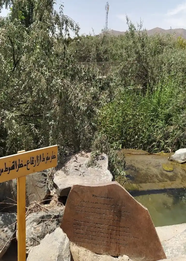 امکانات پارک ژوراسیک مشهد